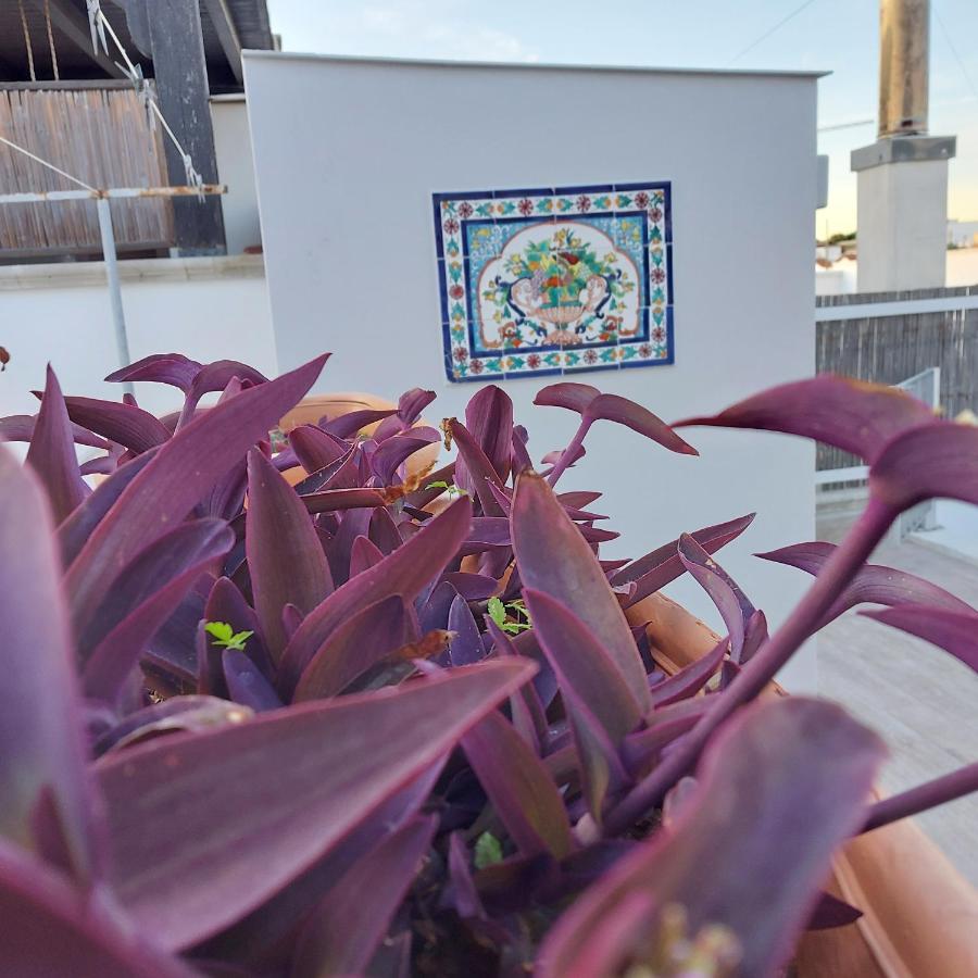 Casa Dei Filodendri Apartment Сан Пиетро ин Беваня Стая снимка